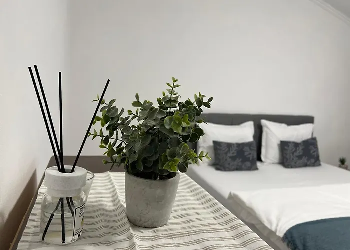 Holidays * クルージュ＝ナポカ