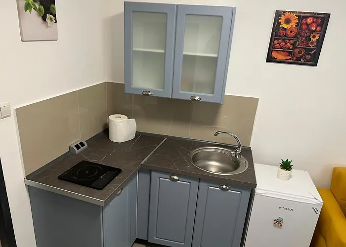 Holidays アパート クルージュ＝ナポカ